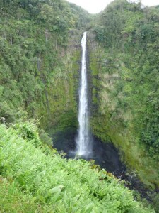 Akaka Falls im tropischen Dschungel